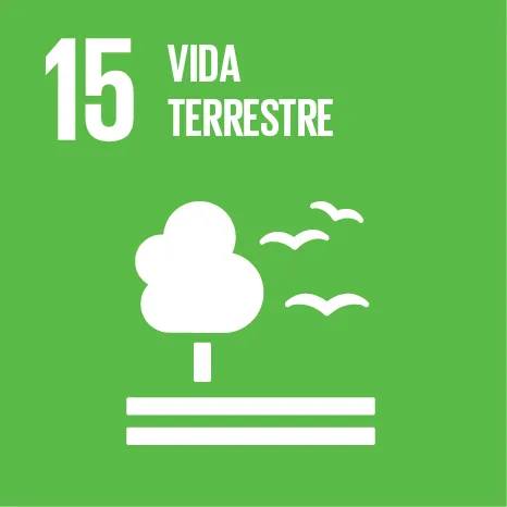 ODS 15: Vida terrestre